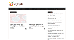 Desktop Screenshot of evdesifa.com